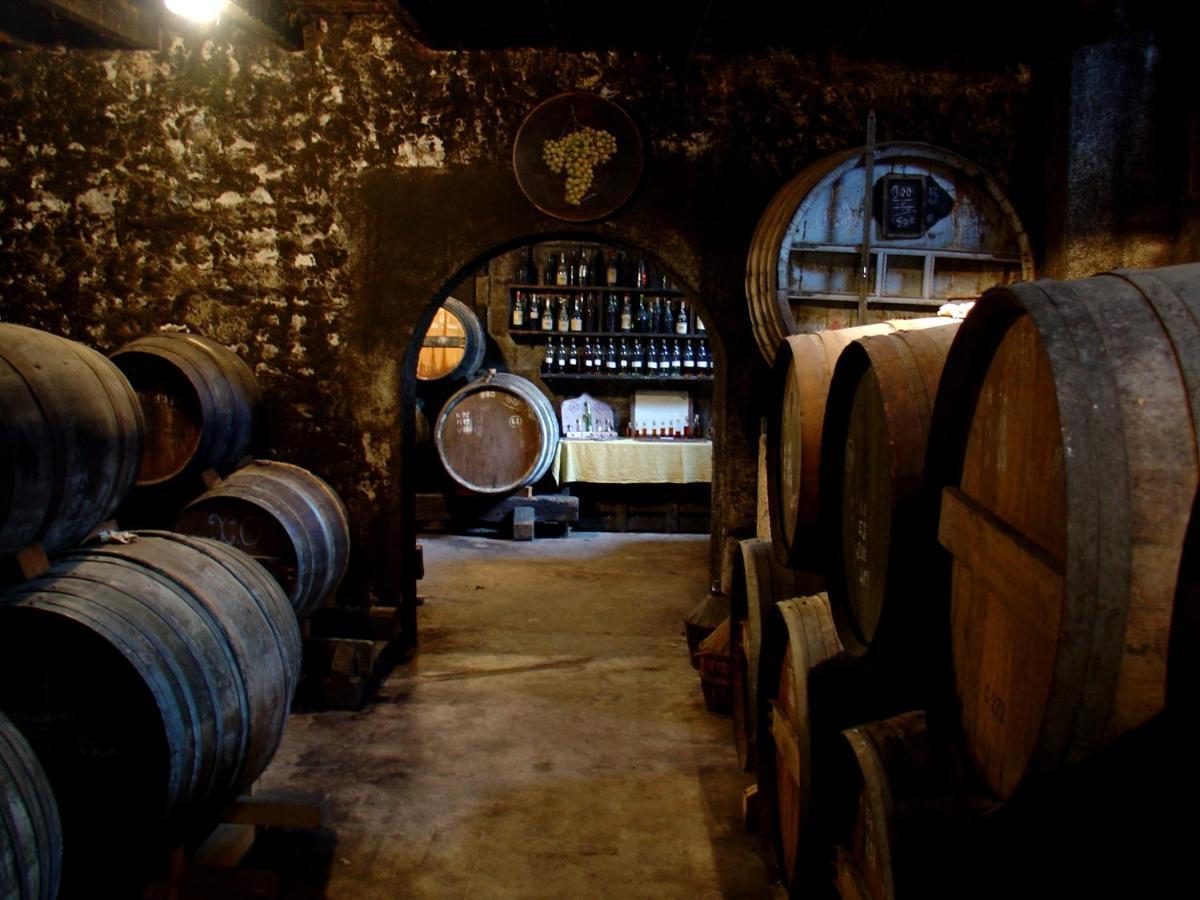 מלון Le Relais De Saint-Preuil, The Originals Relais Vignes Du Cognac מראה חיצוני תמונה