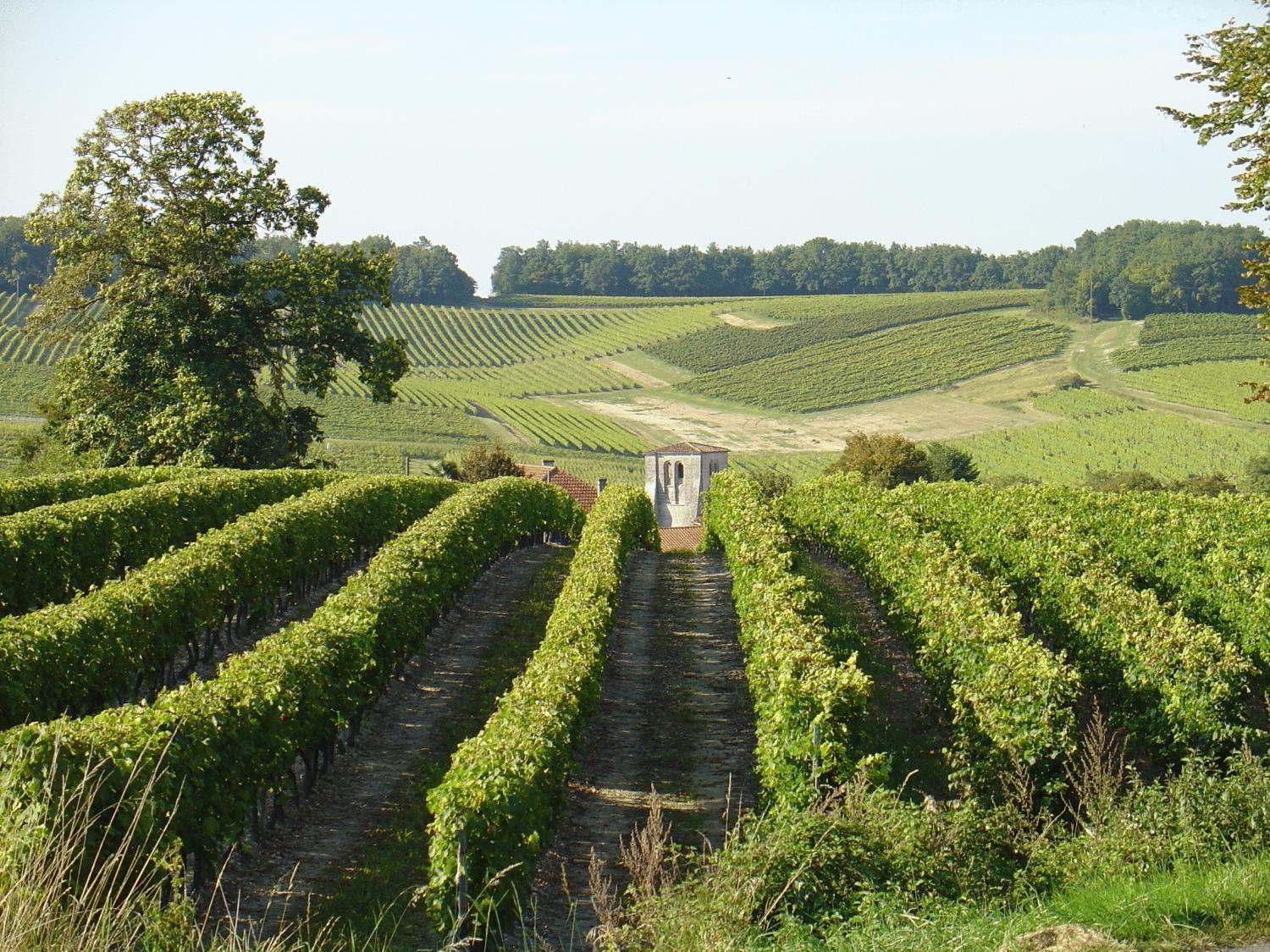מלון Le Relais De Saint-Preuil, The Originals Relais Vignes Du Cognac מראה חיצוני תמונה